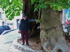 183 D32 BARJOLS_000024